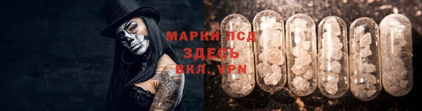 крисы Михайловск